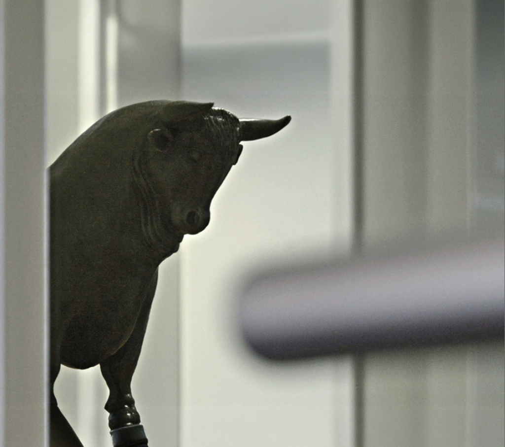 Bildausschnitt Bulle_Farbe